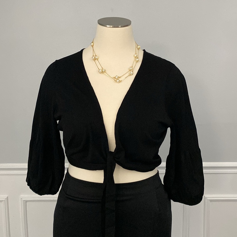 august silk Tie Front Silk Blend Crop Top
